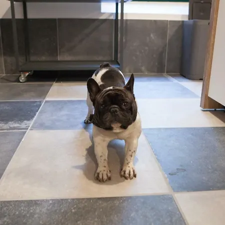 Хостел Alfieri 2 Турин