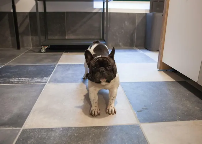 Hostel Alfieri 2 Torino